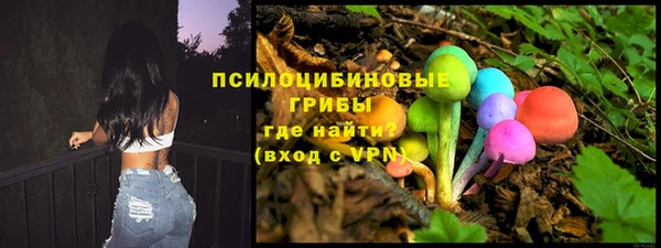 дмт Алексеевка