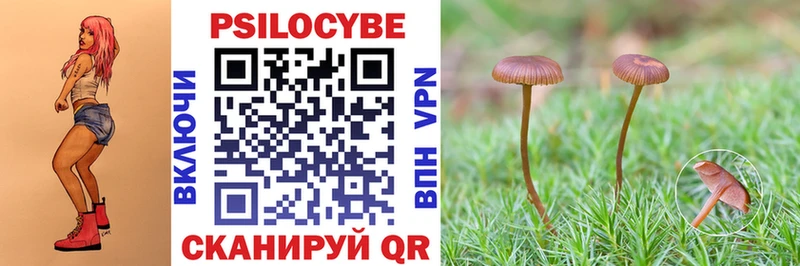 Галлюциногенные грибы мицелий  закладки  Ижевск 
